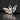 little sterling silver long-eared bat charm on a black background 