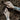 Tattooed hands and forearms resting on dark brown mulch, wearing multiple silver rings and bracelets.