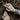 Tattooed hands and forearms resting on dark brown mulch, wearing multiple silver rings and bracelets.
