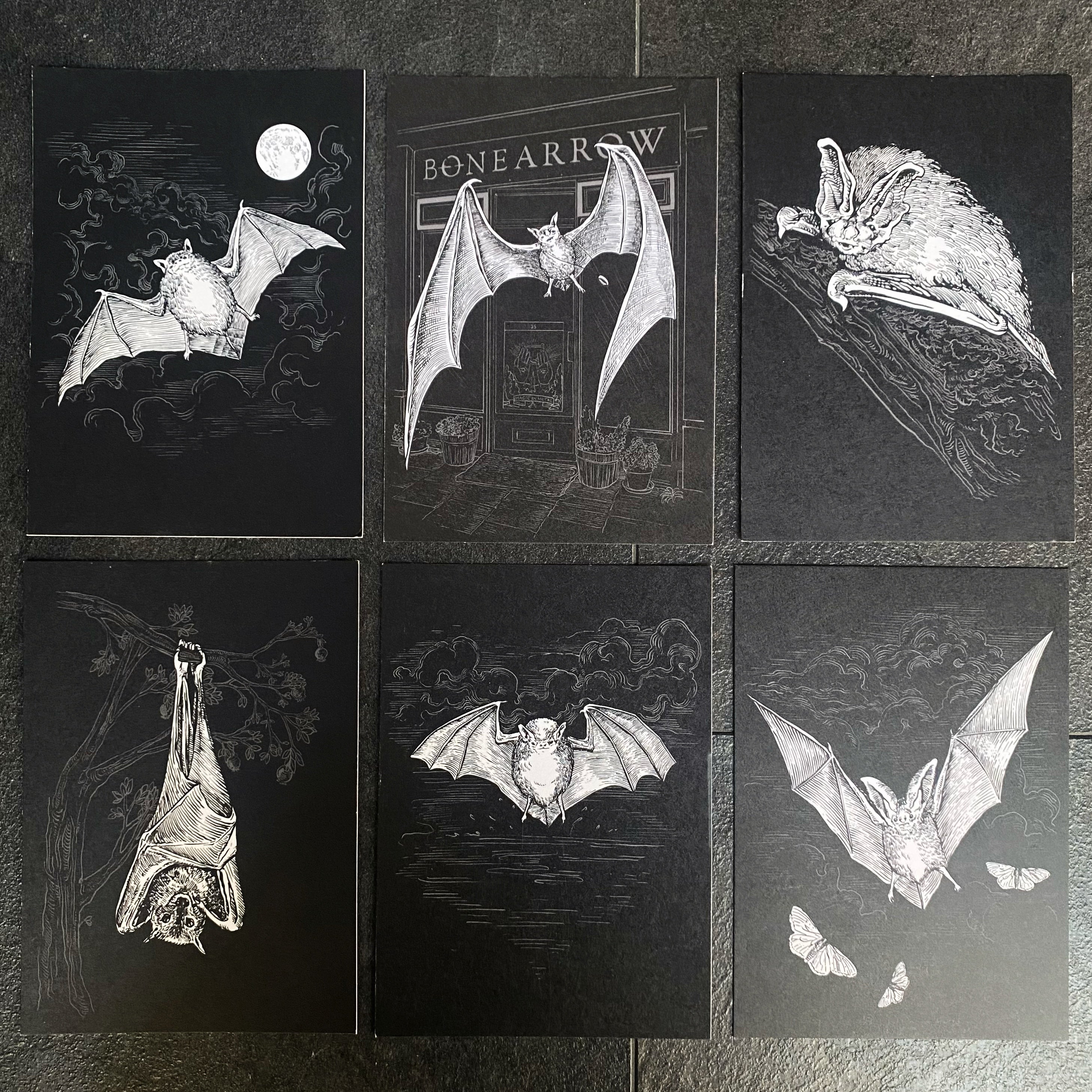 Gothic Bats Illustrated Postcard Set