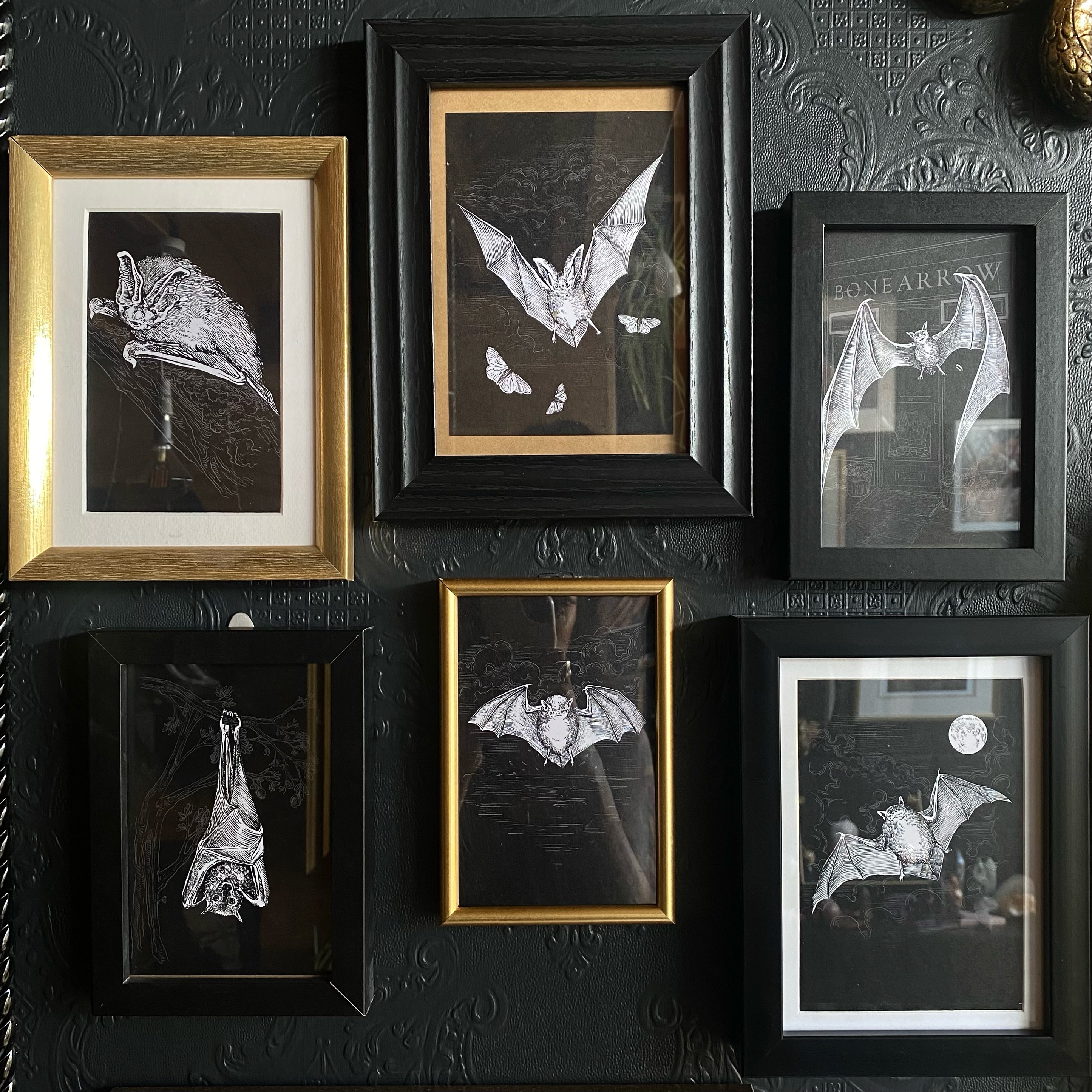 dark gothic bat illustrations framed