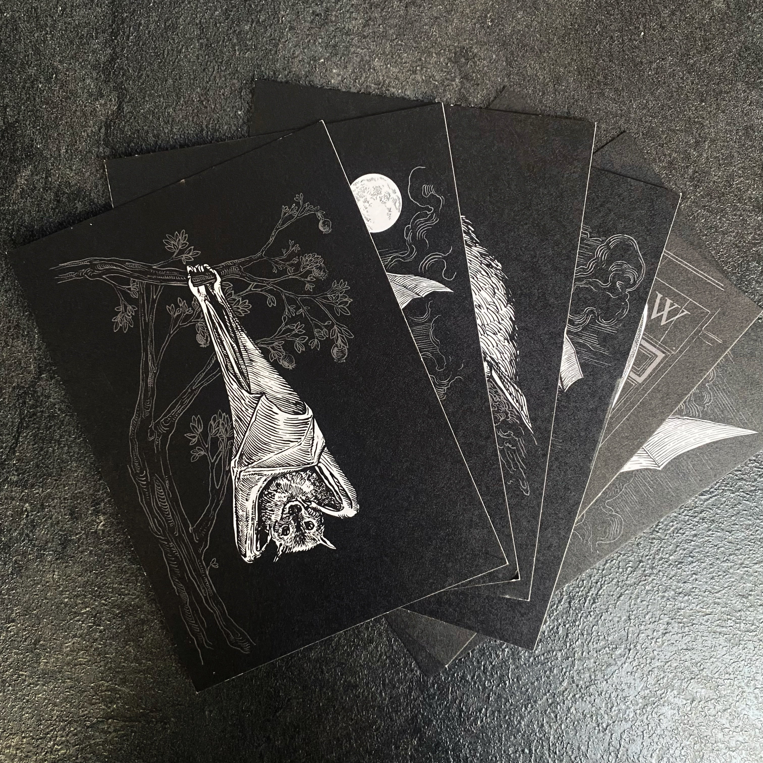 set of 6 bat illustration postcards