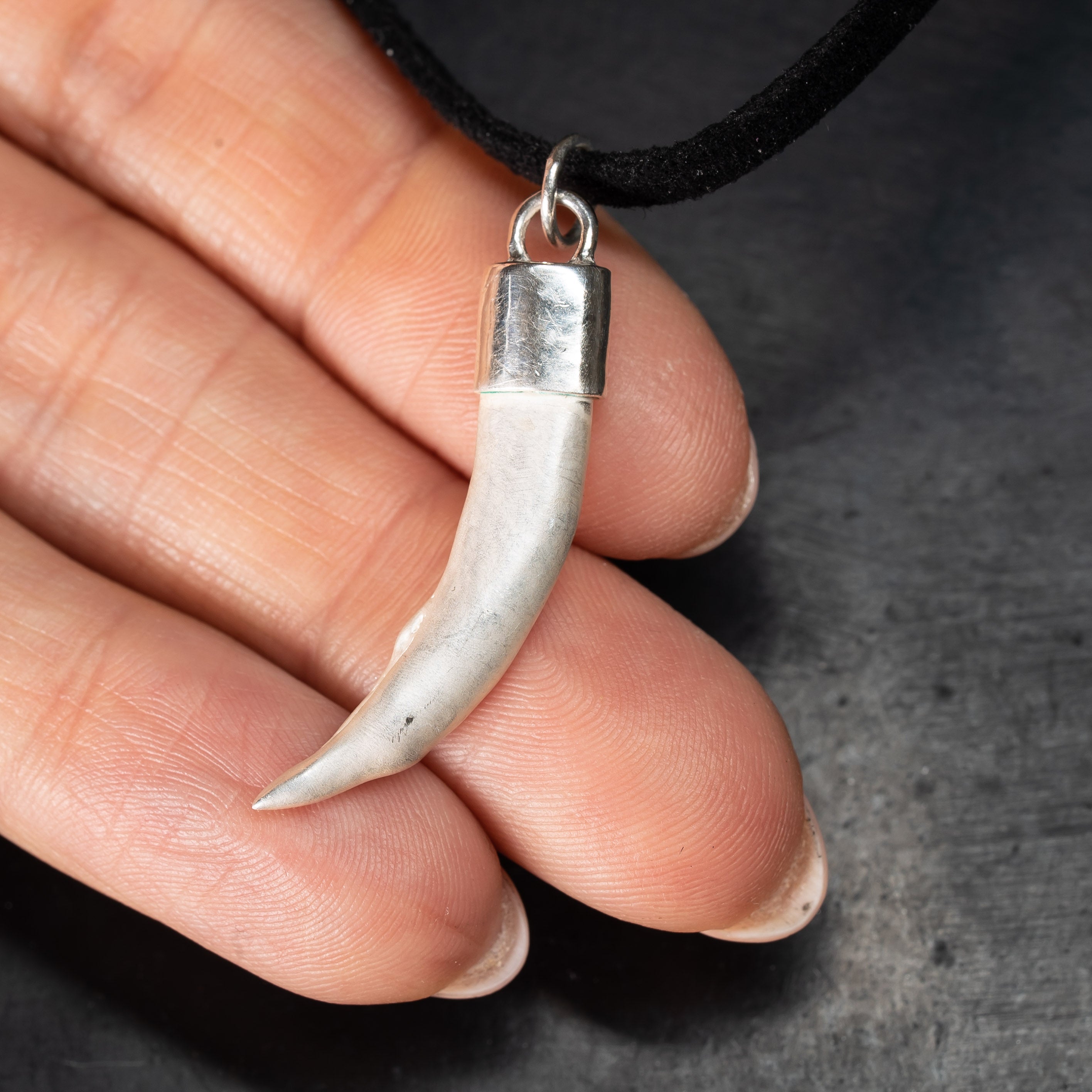 Silver fox tooth necklace showing scale agains the hand